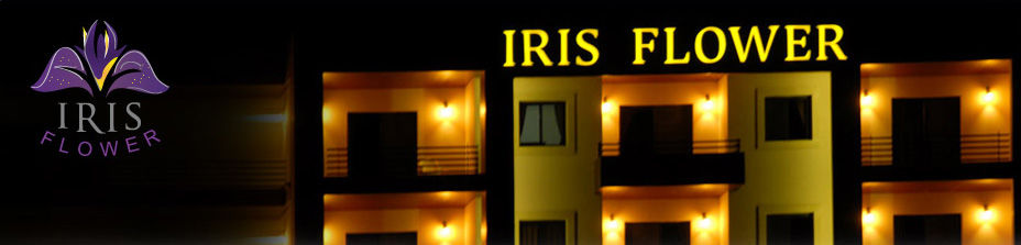 Iris Flower Hotel Jezzîne Extérieur photo